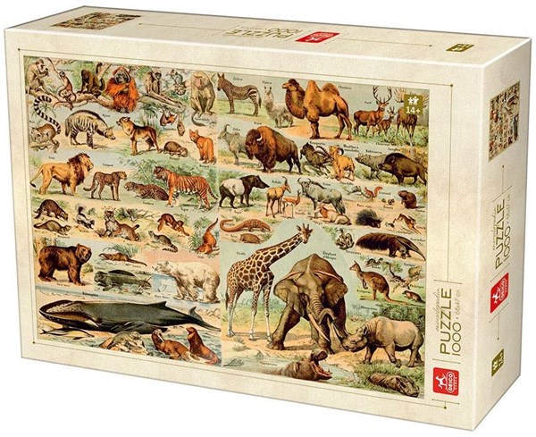 Deico (76793) - "Encyclopedia Wild Animals" - 1000 pieces puzzle
