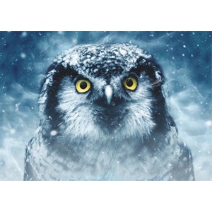Deico (75727) - "Owl" - 1000 pieces puzzle