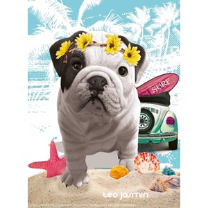 Nathan (87239) - "Téo California" - 500 pieces puzzle