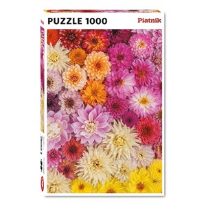 Piatnik (5518) - "Dahlias" - 1000 pieces puzzle