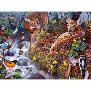 SunsOut (49040) - Jerry Gadamus: "Fawn Song" - 1000 pieces puzzle