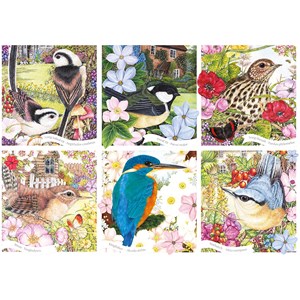 Otter House Puzzle (75079) - "RSPB, Garden Birds" - 1000 pieces puzzle
