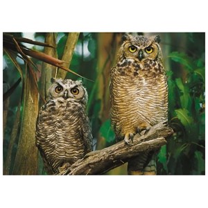 Trefl (10603) - "Owls" - 1000 pieces puzzle