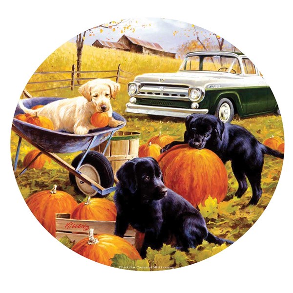 SunsOut (73434) - "Pumpkin Patch" - 500 pieces puzzle