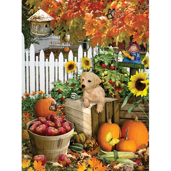 SunsOut (35140) - Lori Schory: "Harvest Puppy" - 300 pieces puzzle