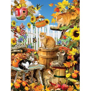 SunsOut (35143) - Lori Schory: "XXL Pieces - Lori Schory - Harvest Kittens" - 300 pieces puzzle