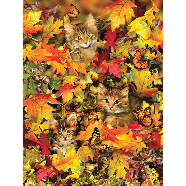 SunsOut (35059) - Lori Schory: "Kitties at Play" - 300 pieces puzzle
