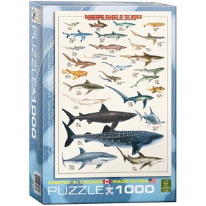 Eurographics (6000-0264) - "Dangerous Sharks of the World" - 1000 pieces puzzle