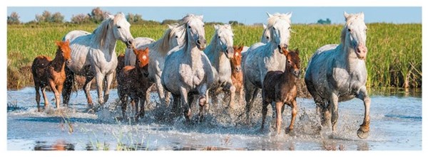 Dino (39326) - "Horses" - 150 pieces puzzle