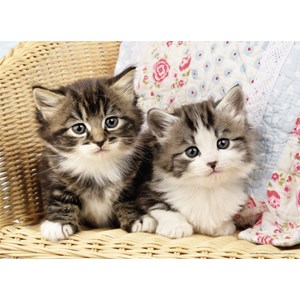 Nathan (86766) - "Kitten" - 100 pieces puzzle