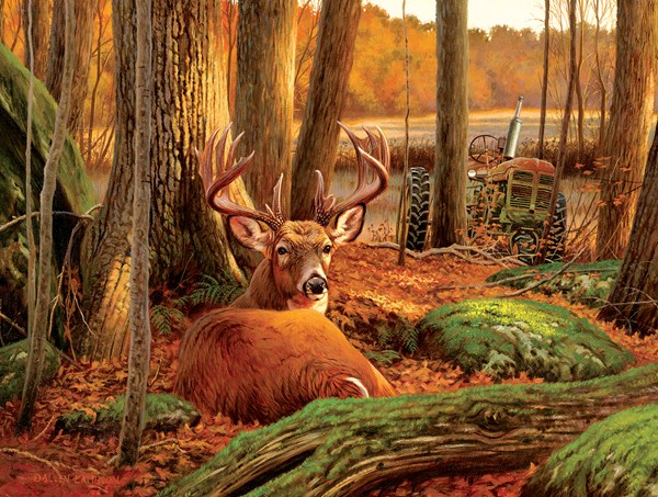 SunsOut (50133) - "Where Sleeping Deer Lie" - 500 pieces puzzle