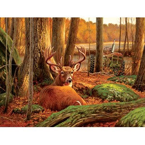 SunsOut (50133) - "Where Sleeping Deer Lie" - 500 pieces puzzle