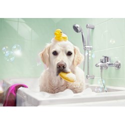 Bluebird Puzzle (70367) - "Bath Time" - 100 pieces puzzle