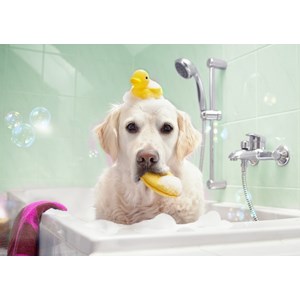 Bluebird Puzzle (70367) - "Bath Time" - 100 pieces puzzle