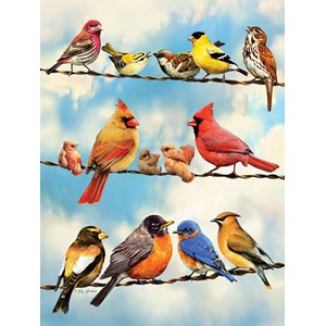 Cobble Hill (85034) - Greg Giordano: "Birds on a Wire" - 500 pieces puzzle