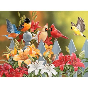 SunsOut (30479) - William Vanderdasson: "Birds on a Fence" - 300 pieces puzzle