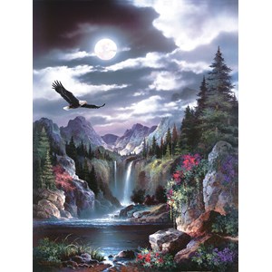 SunsOut (18005) - James Lee: "Moonlit Eagle" - 300 pieces puzzle