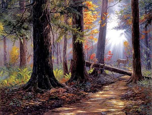 SunsOut (40610) - Jack Paluh: "Peaceful Path" - 500 pieces puzzle