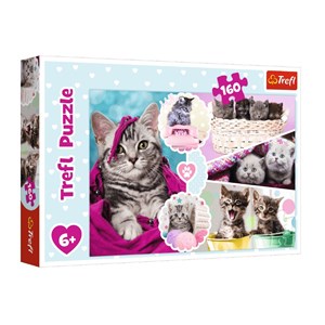 Trefl (15371) - "Kittens" - 160 pieces puzzle