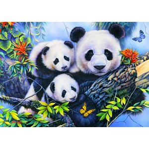 Bluebird Puzzle (70395) - Jenny Newland: "Panda Family" - 100 pieces puzzle