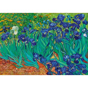 Bluebird Puzzle (60006) - Vincent van Gogh: "Irises, 1889" - 1000 pieces puzzle