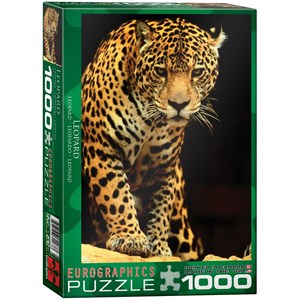 Leopard, 1000 Pieces, Djeco