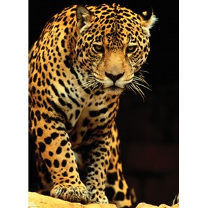 Eurographics (6000-1163) - "Leopard" - 1000 pieces puzzle