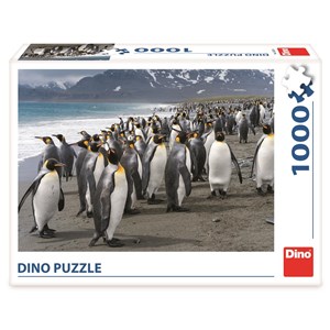 Dino (53283) - "Penguins" - 1000 pieces puzzle