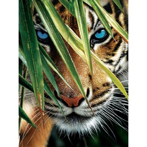 SunsOut (21843) - Colin Bogle: "Blue Eyes" - 1000 pieces puzzle