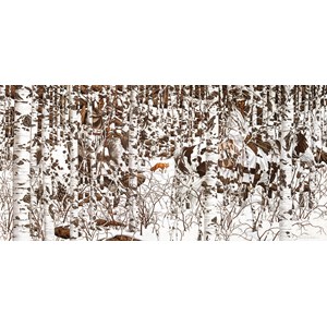 SunsOut (74415) - Bev Doolittle: "Woodland Encounter" - 1000 pieces puzzle