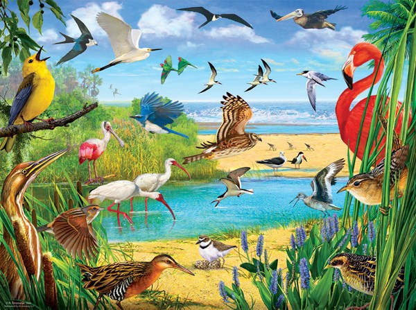 SunsOut (70028) - R. Christopher Vest: "Florida Birds" - 1000 pieces puzzle