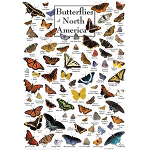 MasterPieces (71971) - "Butterflies of North America" - 1000 pieces puzzle