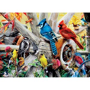 MasterPieces (31978) - "Backyard Birds" - 1000 pieces puzzle