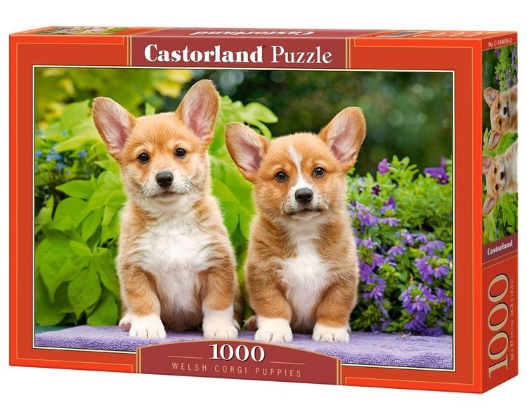 Castorland (C-104659) - Welsh Corgi Puppies - 1000 pieces puzzle