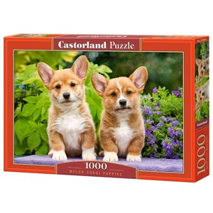 Castorland (C-104659) - "Welsh Corgi Puppies" - 1000 pieces puzzle