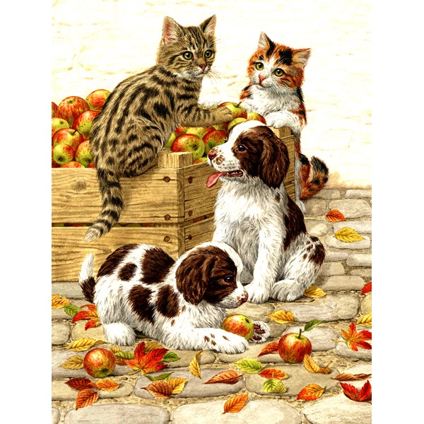 SunsOut (51404) - Sarah Adams: "Box of Apples" - 500 pieces puzzle