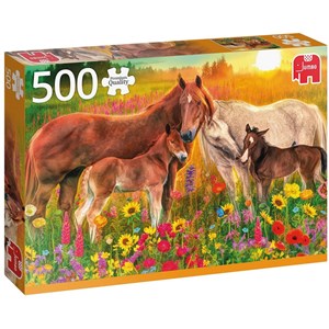 Jumbo (18851) - "Horses in the Meadow" - 500 pieces puzzle