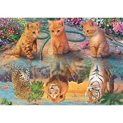 Jumbo (18850) - "A Kitten's Dream" - 500 pieces puzzle
