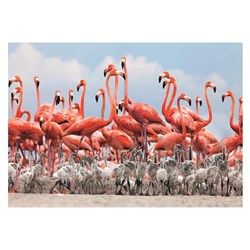 Dino (50250) - "Flamingoes" - 500 pieces puzzle