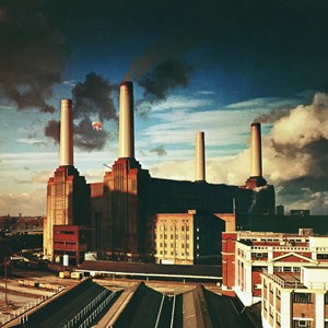 Zee Puzzle (26808) - "Pink Floyd, Animals" - 500 pieces puzzle