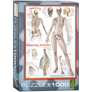 Eurographics (6000-2014) - "The Skeletal System" - 1000 pieces puzzle