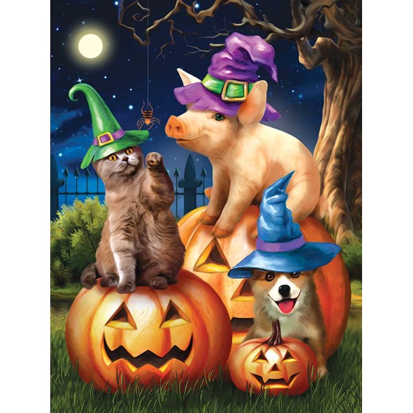 SunsOut (28908) - Tom Wood: "Ready to Party" - 300 pieces puzzle