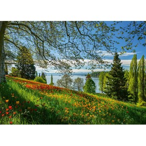 Schmidt Spiele (58967) - "Tulips Field, Mainau Island" - 1000 pieces puzzle