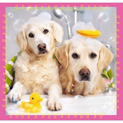 Trefl (34845) - "Dogs" - 20 36 50 pieces puzzle