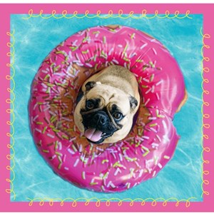 Trefl (34845) - "Dogs" - 20 36 50 pieces puzzle