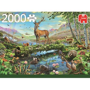 Jumbo (18357) - "Wildlife Splendour" - 2000 pieces puzzle