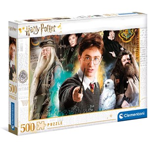 Harry Potter Quidditch Match 2-in-1 Double-Sided 1000-Piece Puzzle