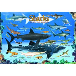 Eurographics (6100-0079) - "Sharks" - 100 pieces puzzle