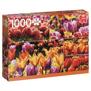 Jumbo (18364) - "Holland Tulips" - 1000 pieces puzzle