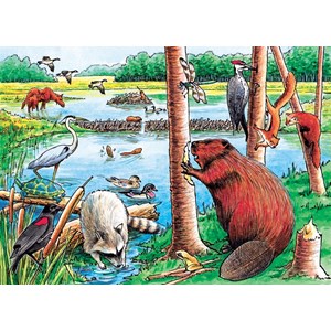 Cobble Hill (58802) - "The Beaver Pond" - 35 pieces puzzle